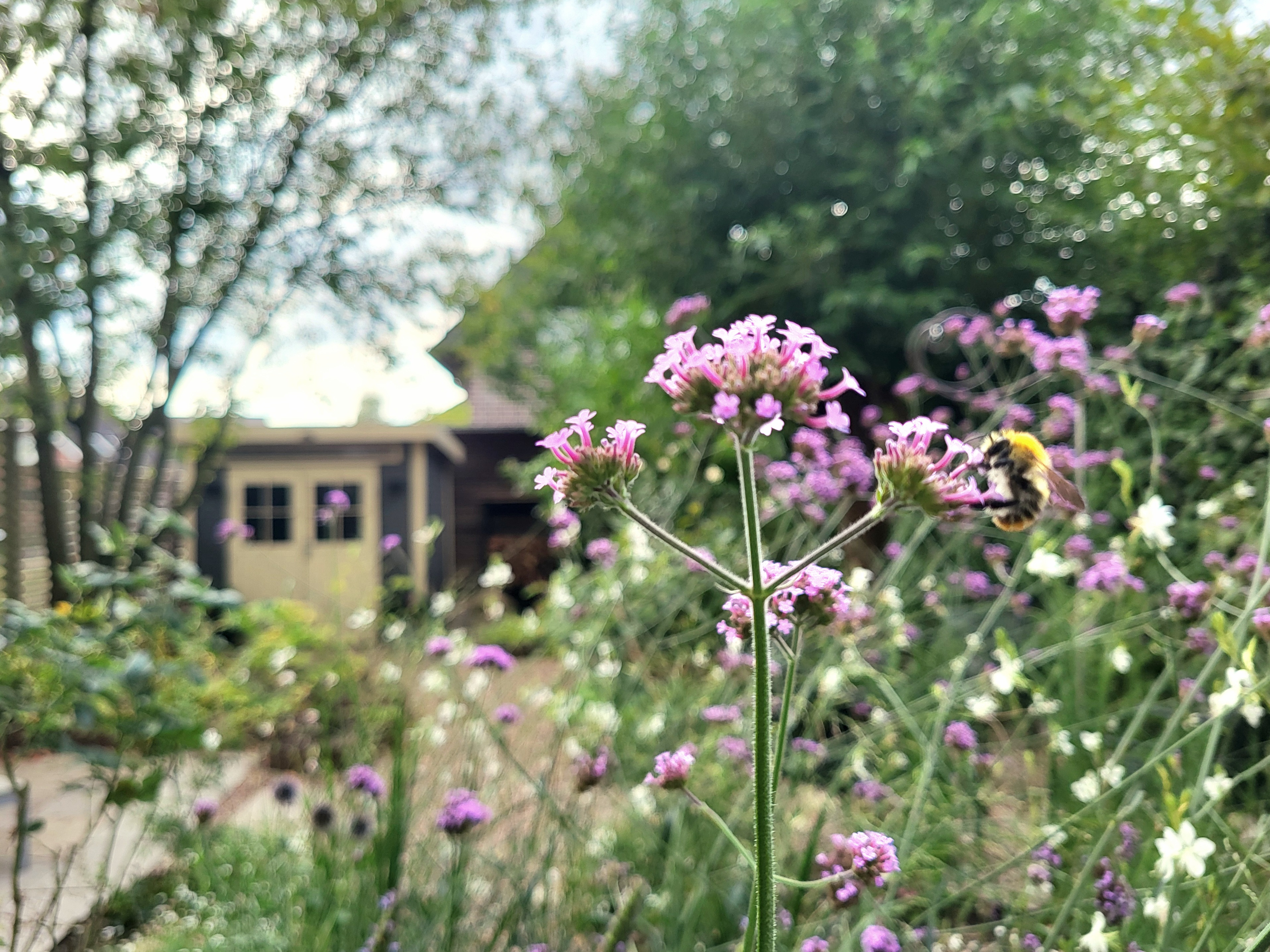 Design für einen schönen Ausblick